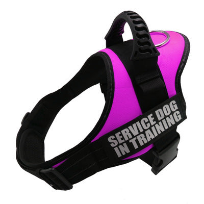 PawSecure™ – Custom No-Pull Dog Harness with Reflective Patch