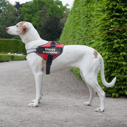 PawSecure™ – Custom No-Pull Dog Harness with Reflective Patch