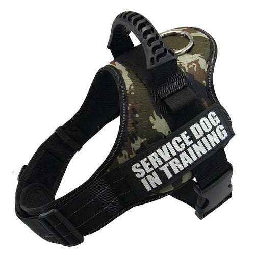 PawSecure™ – Custom No-Pull Dog Harness with Reflective Patch