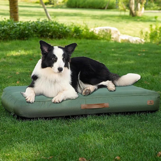 Medium Dog Outdoor Removable And Washable Inflatable Waterproof And