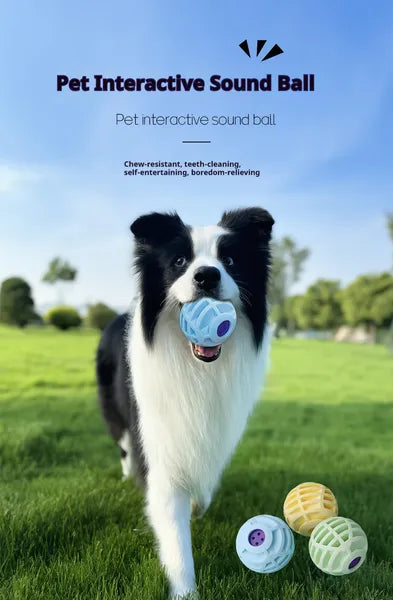 Pet Interactive Sound Ball,The Mellow Dog Cat Pet Voice